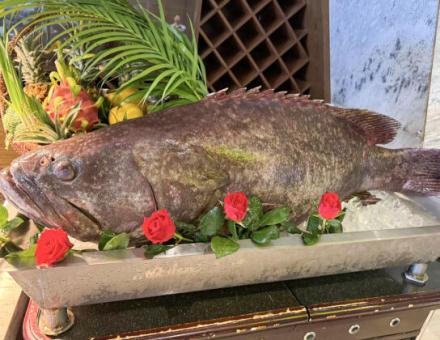 REVISITING MEMORABLE MOMENTS AT THE GRAND BUFFET CELEBRATION