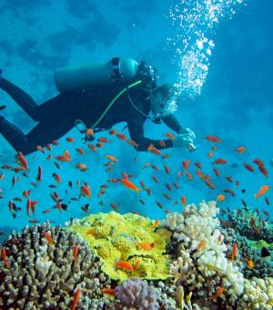 Lặn biển Nha Trang: Top 5 điểm đến không thể bỏ lỡ