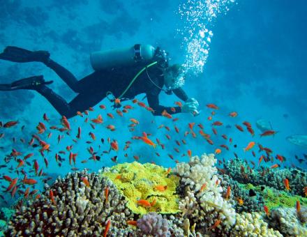 Diving in Nha Trang: Top 5 Must-Visit Destinations